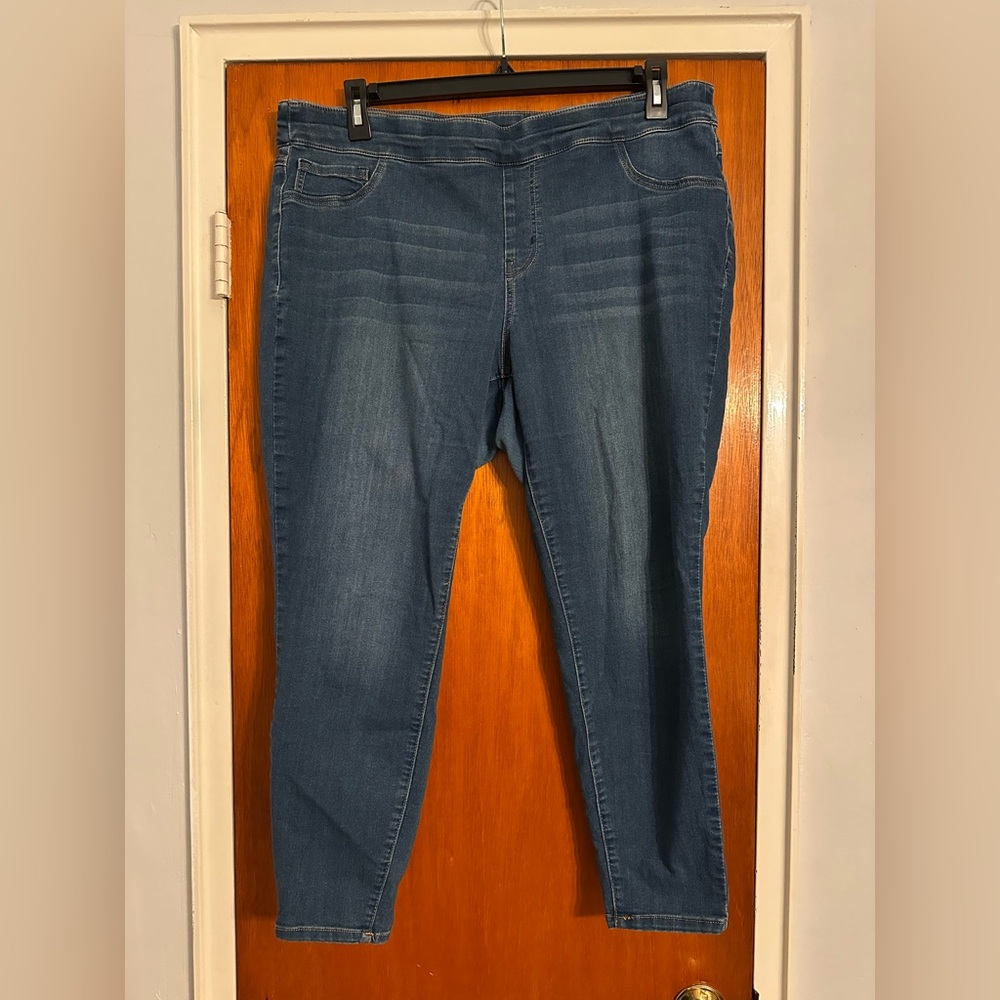 1822 Denim Skinny Jeans (Jeggings) for Women